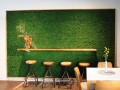 MOOSGREEN-FLEXIBLE-MOSS-Freund-333020-rel5918f468