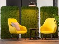 b_EVERGREEN-PREMIUM-INDIVIDUALLY-SHAPED-Freund-333043-rel697b9587
